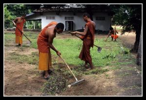 Buddhist Monks_11.jpg